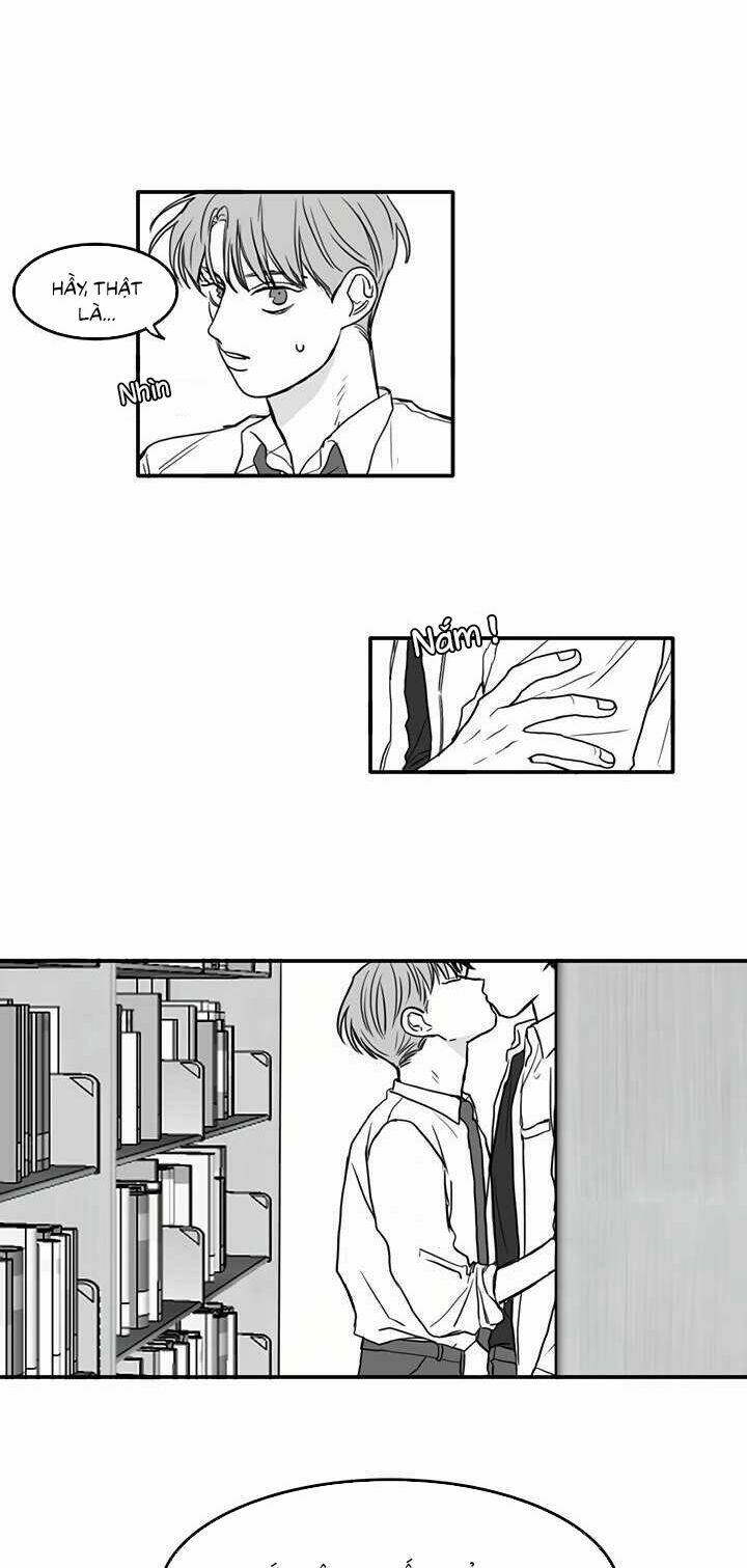 page_17.jpg