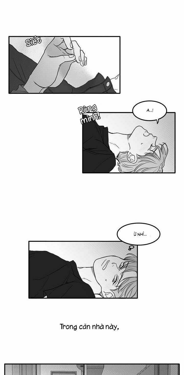 page_14.jpg
