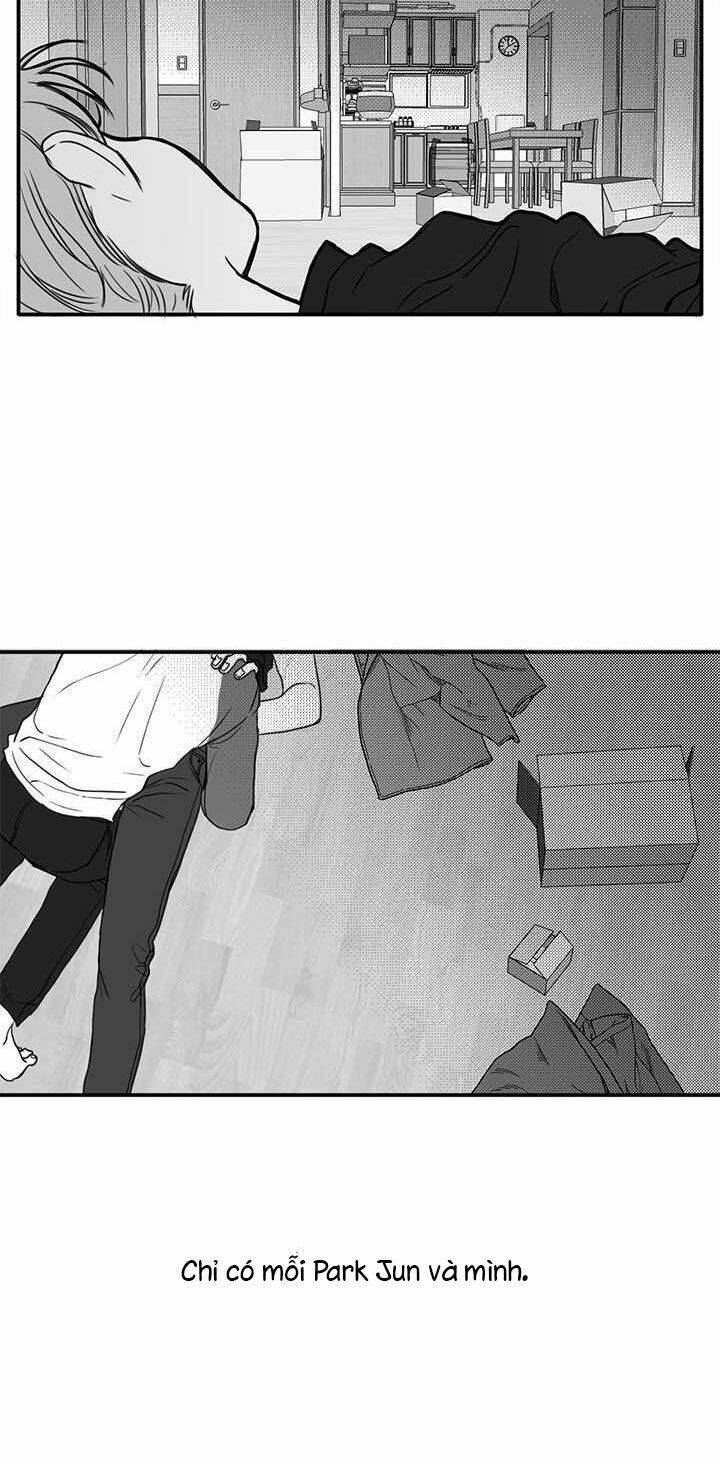page_15.jpg