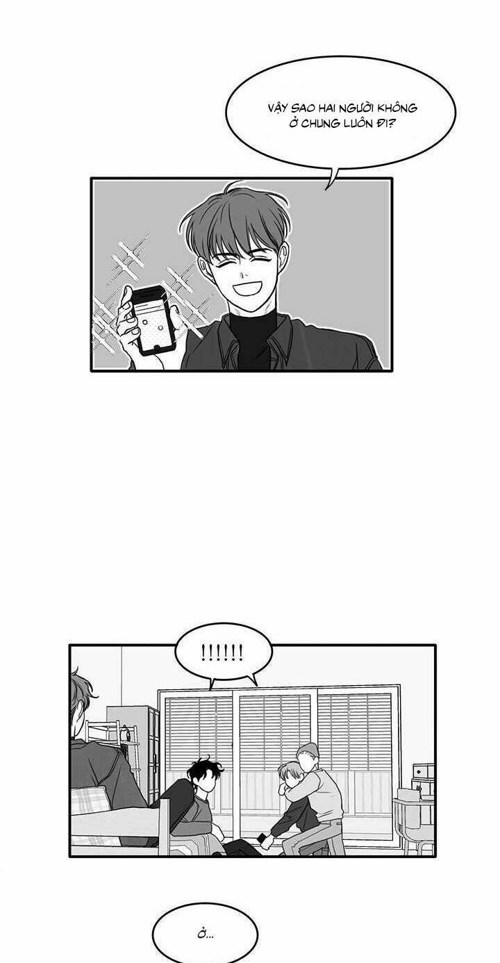page_24.jpg