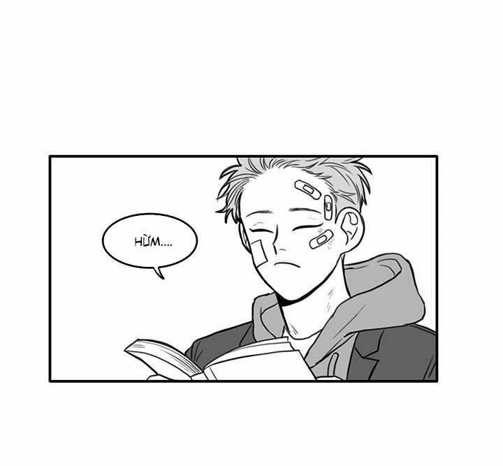 page_21.jpg