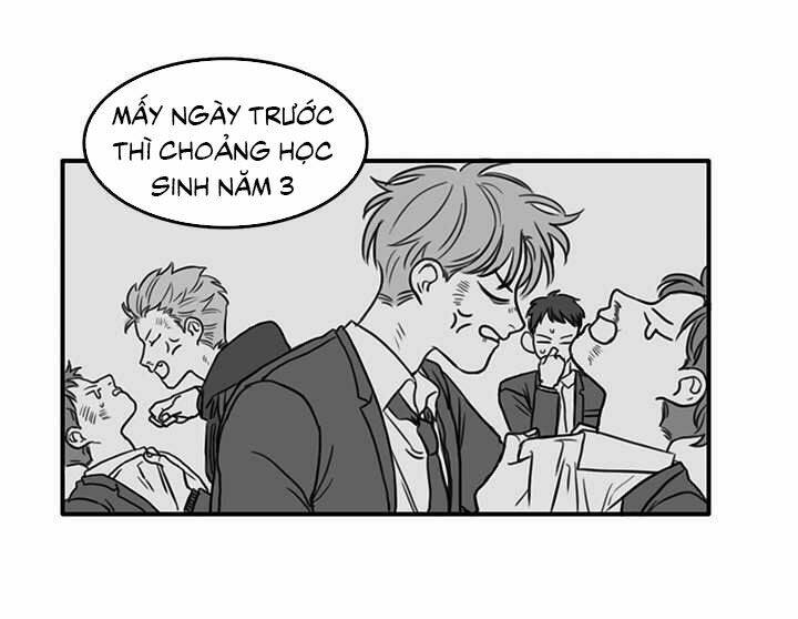 page_19.jpg