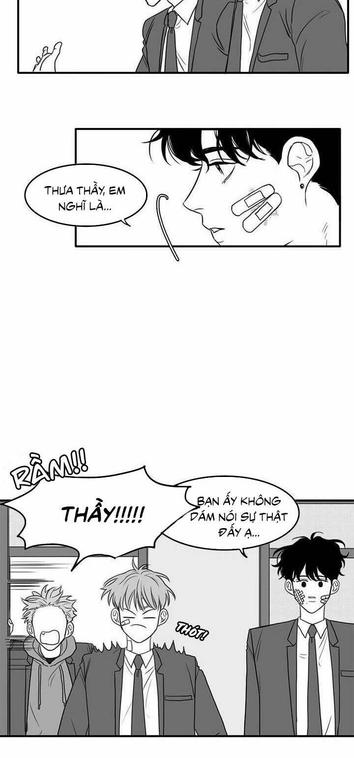 page_20.jpg