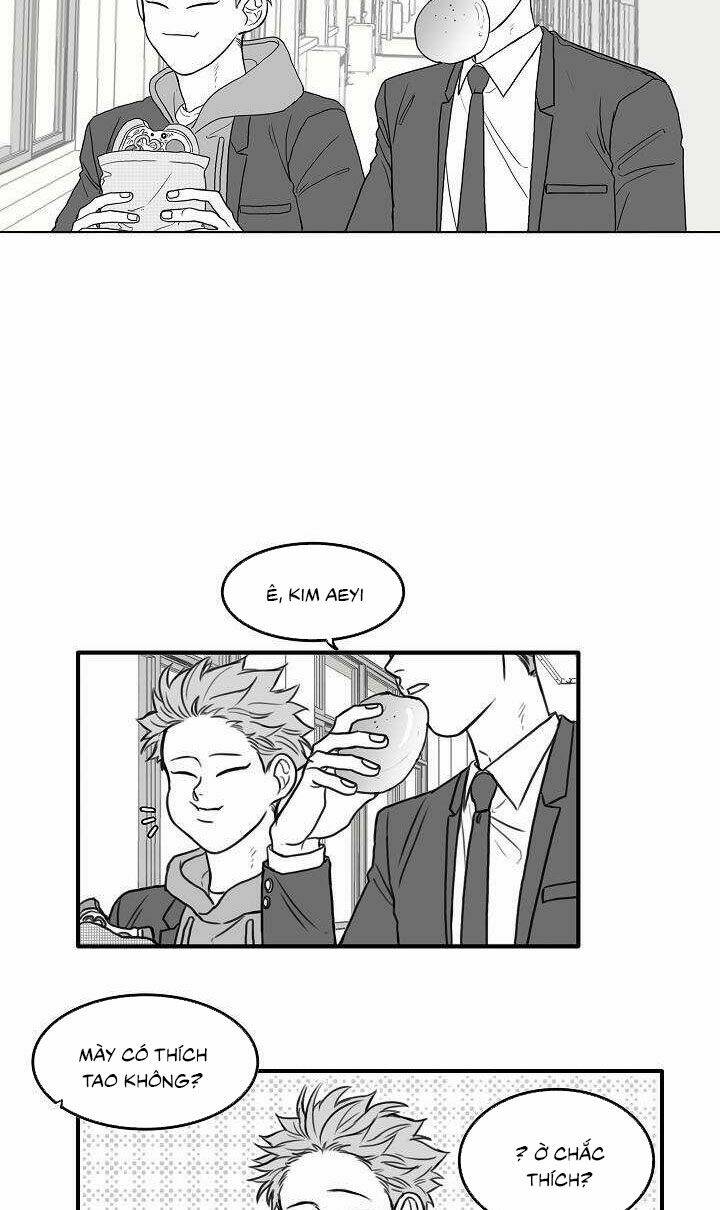 page_17.jpg