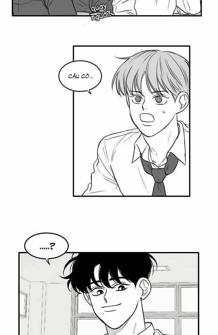 page_28.jpg