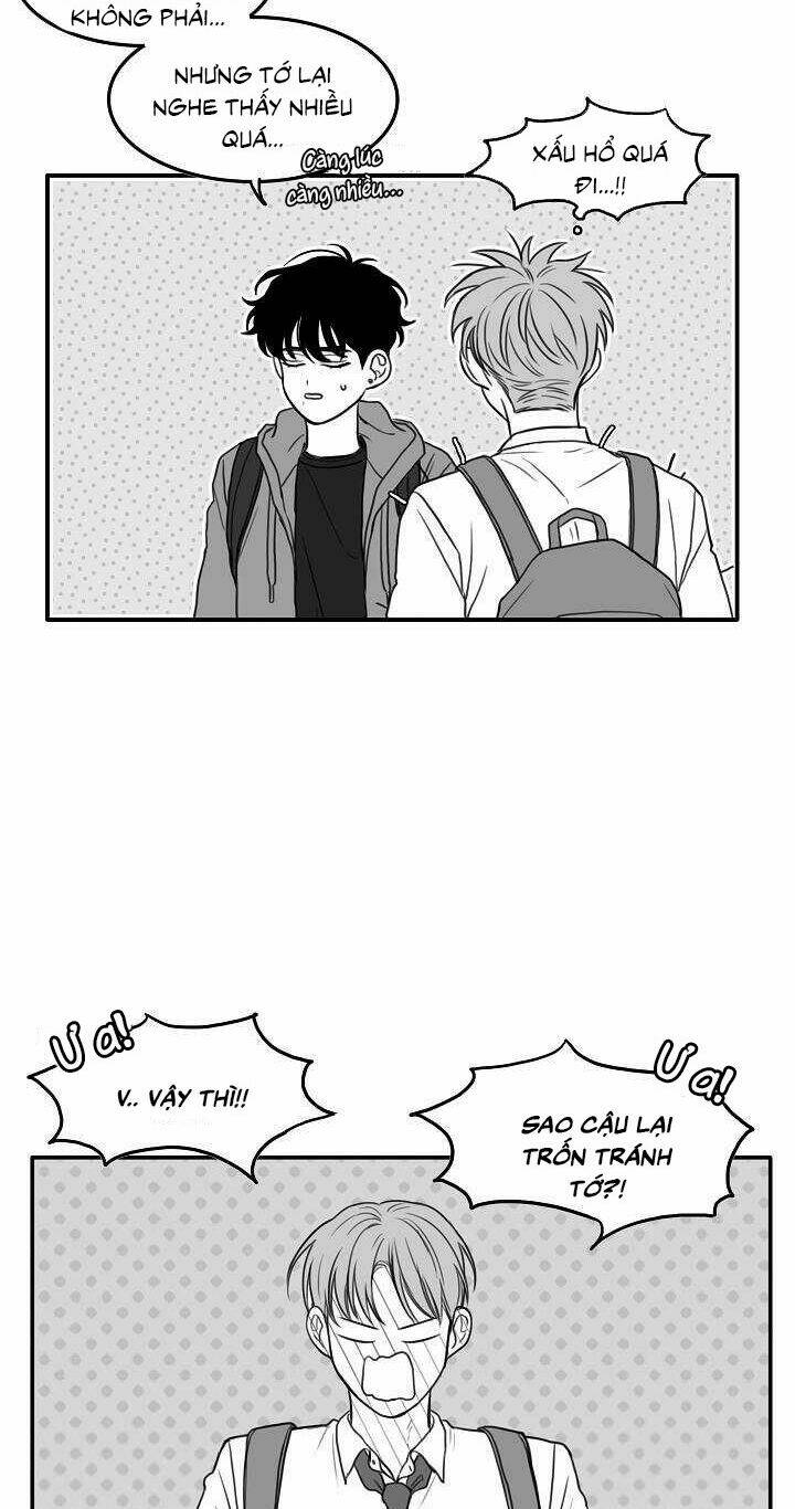 page_24.jpg