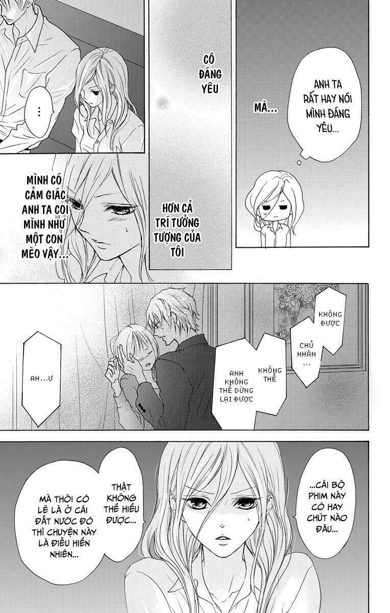page_19.jpg