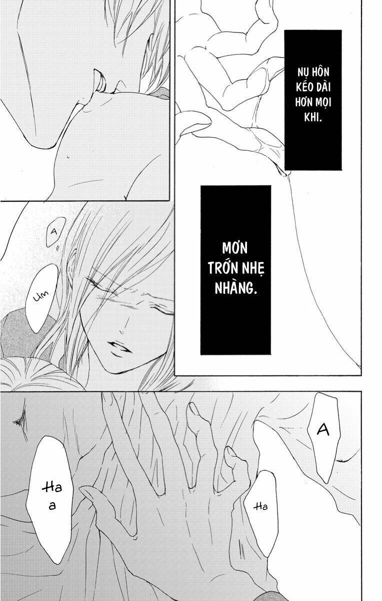 page_22.jpg