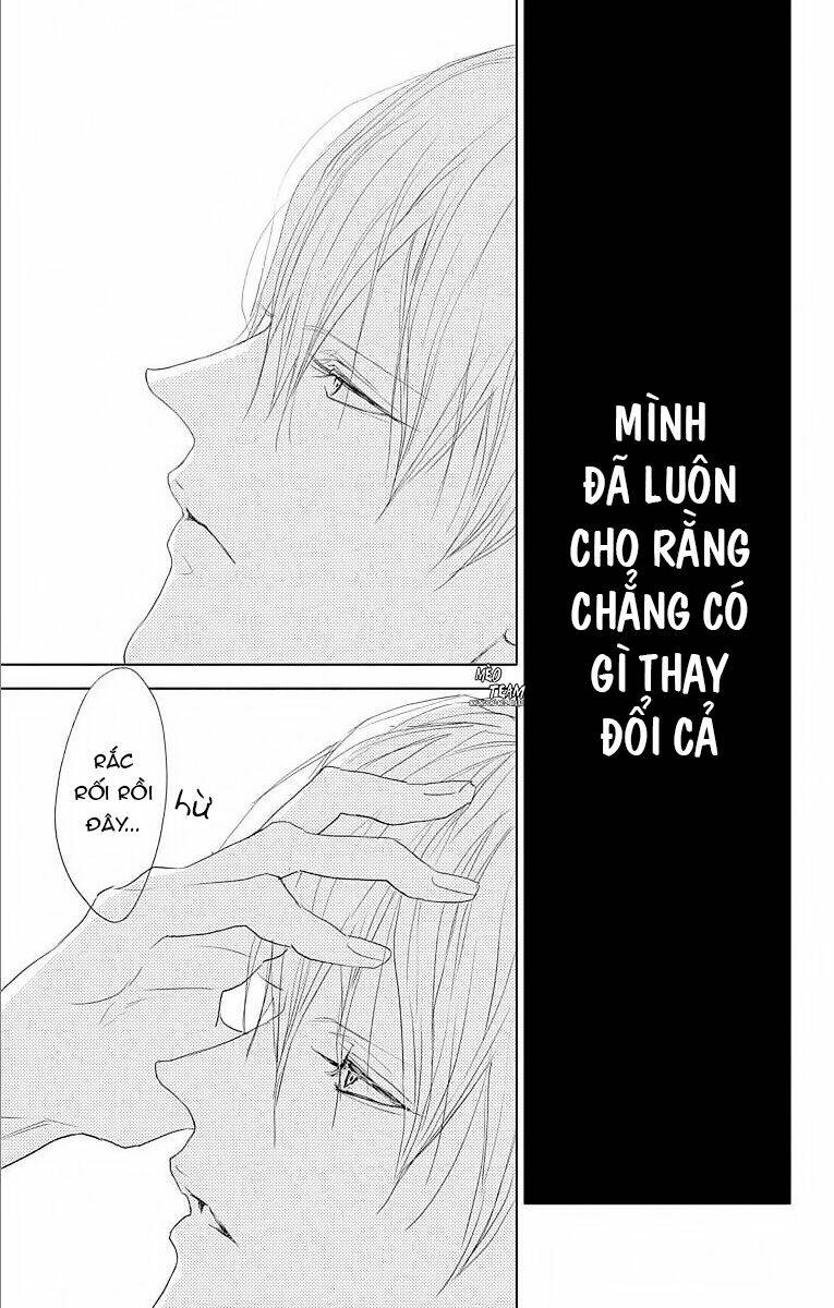 page_40.jpg