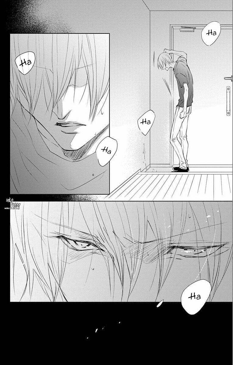 page_42.jpg