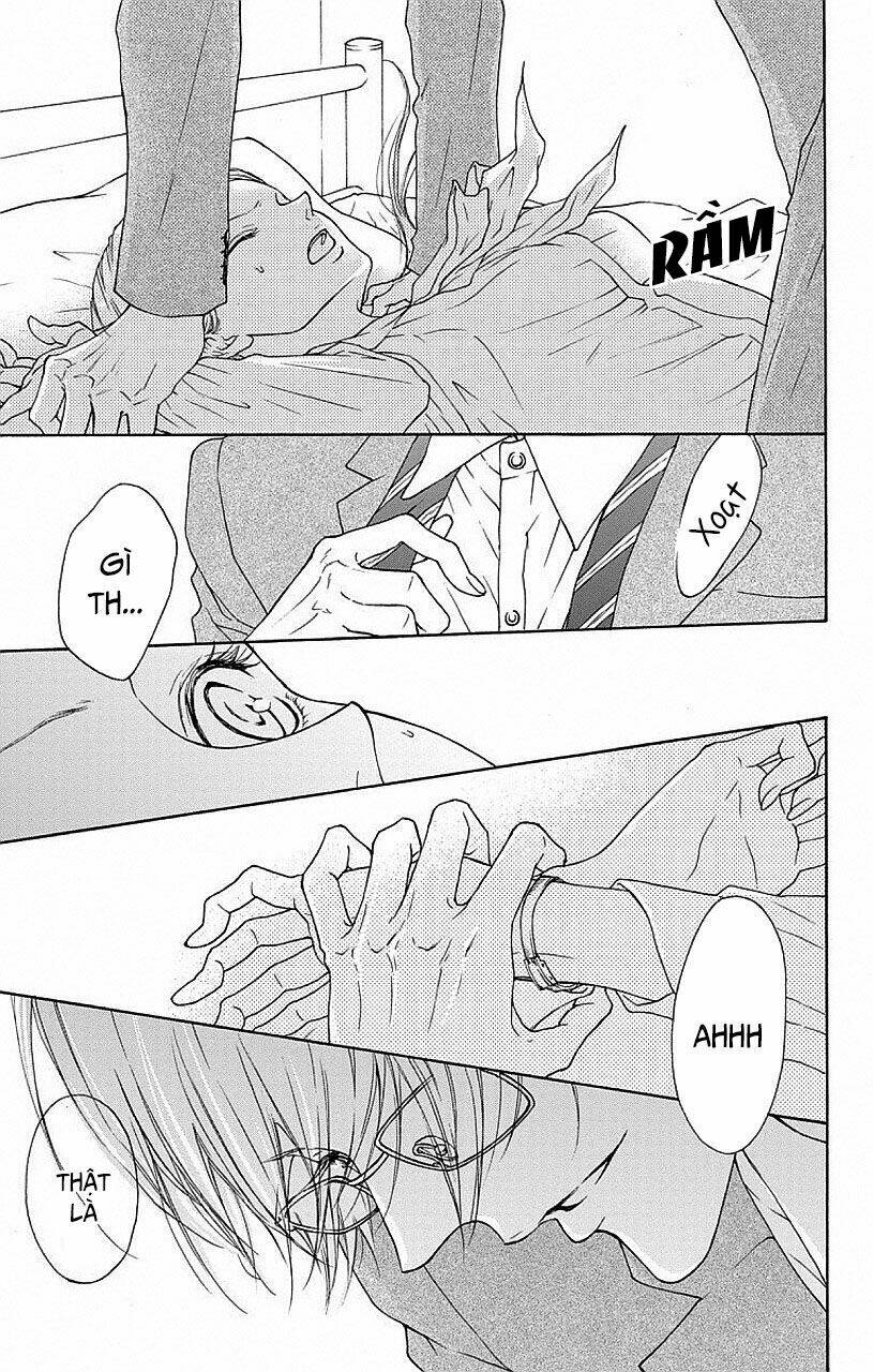 page_19.jpg