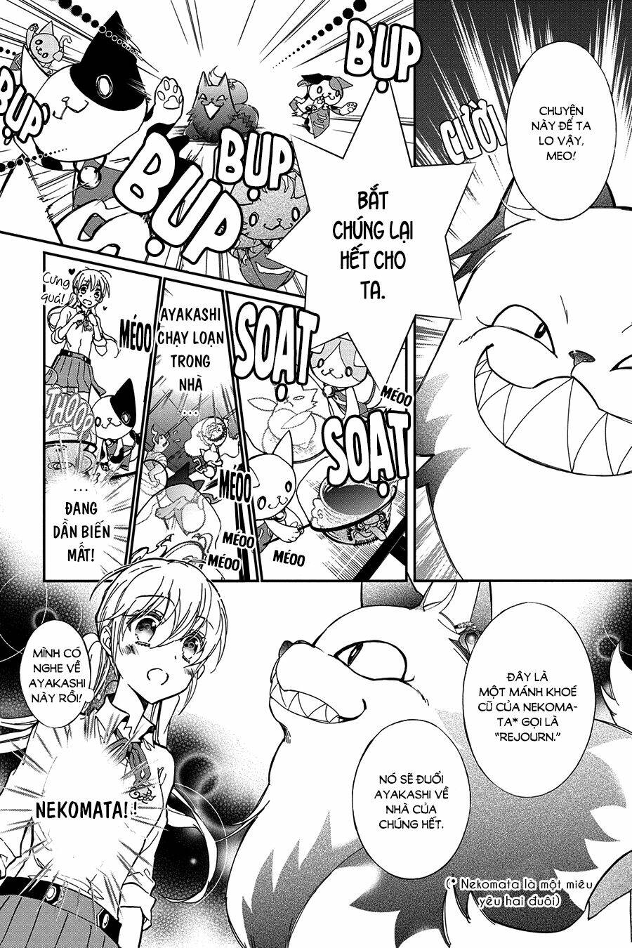 page_10.jpg