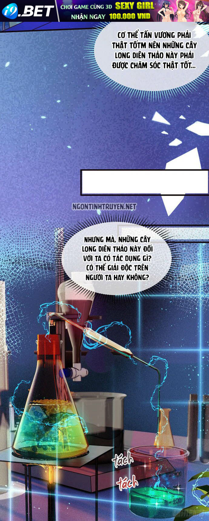 page_21.jpg