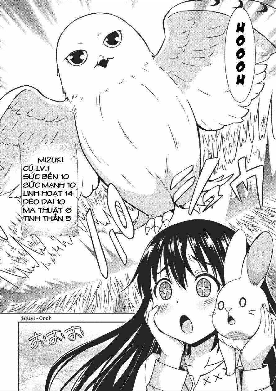 page_13.jpg