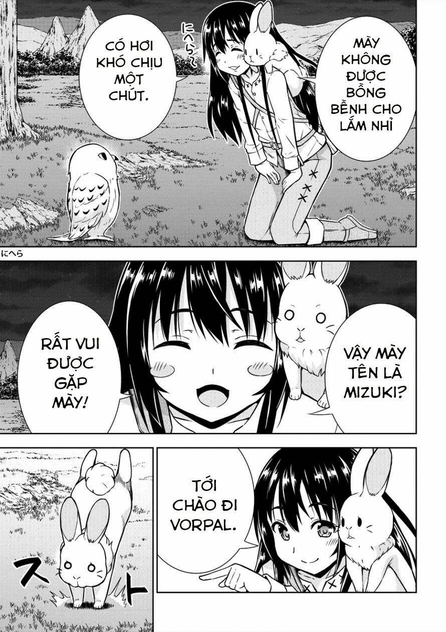 page_14.jpg