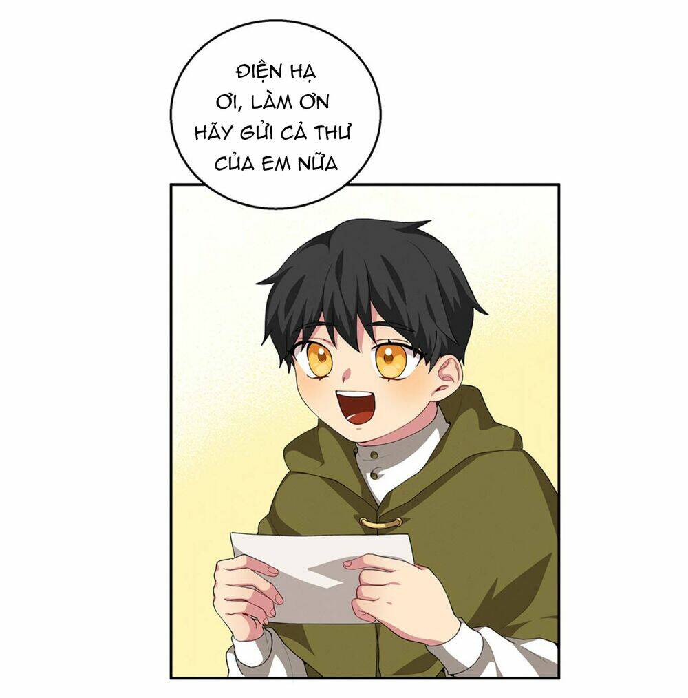 page_24.jpg