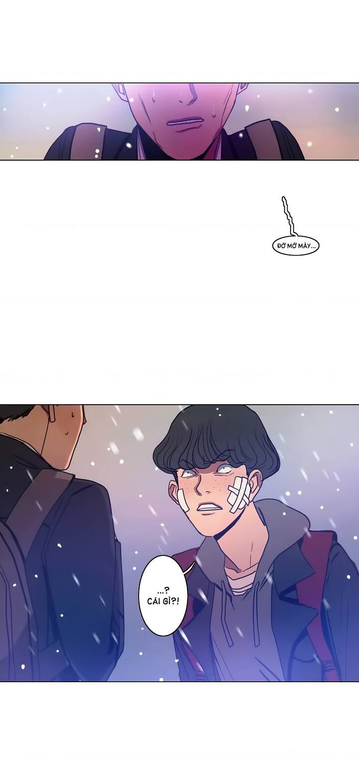 page_35.jpg