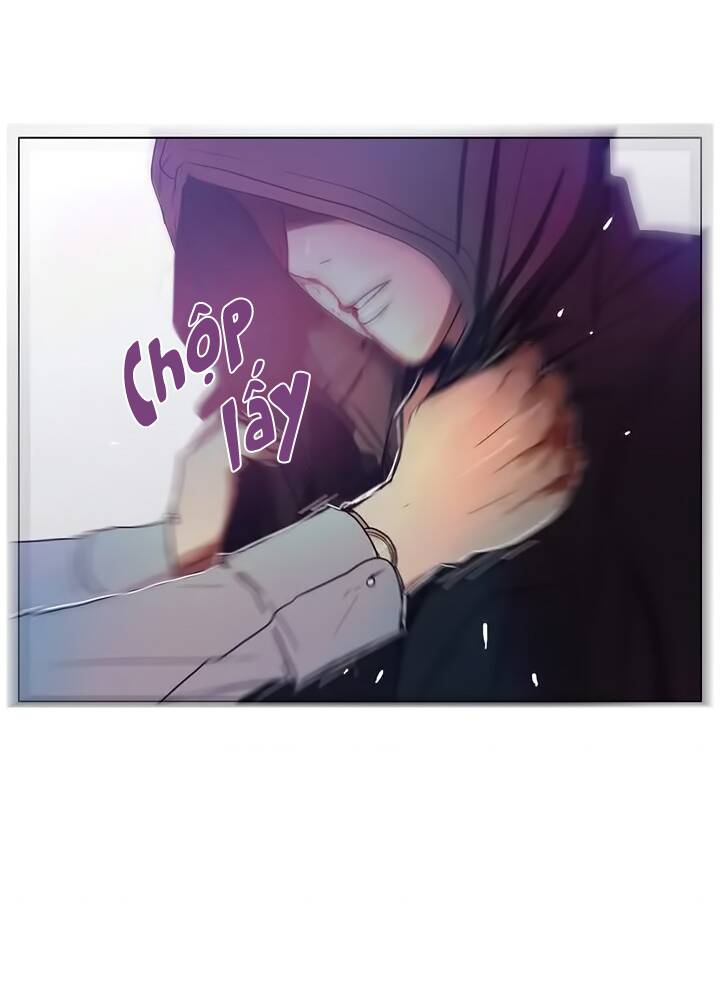 page_29.jpg