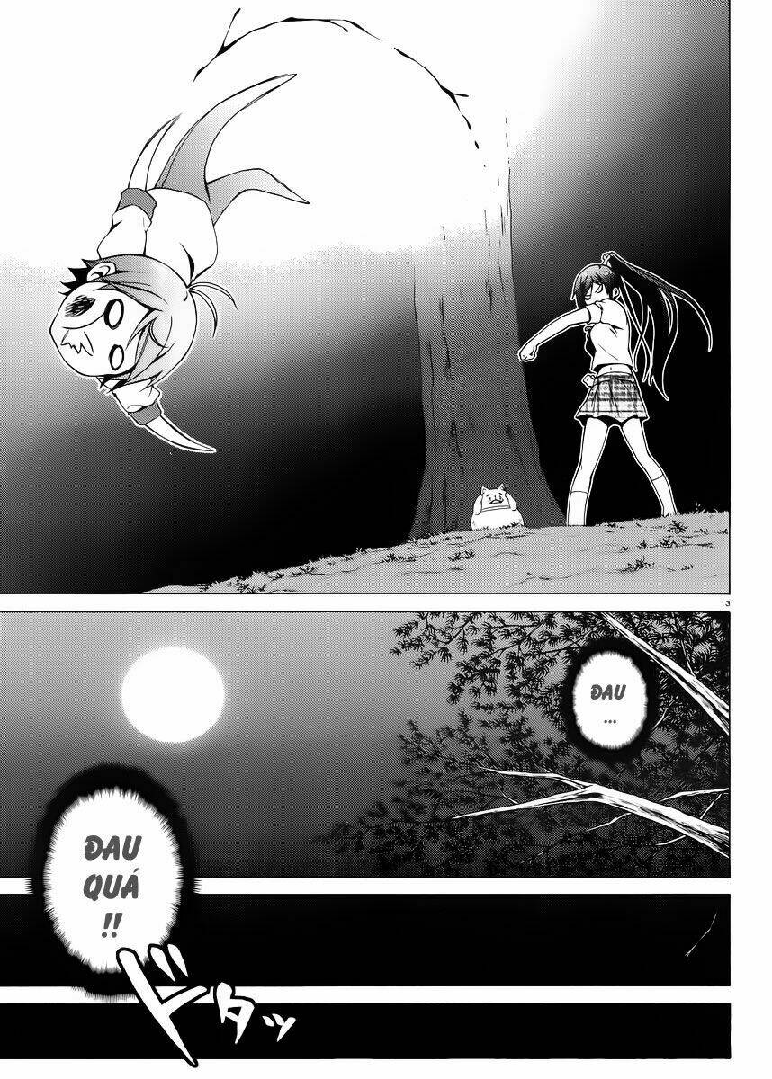 page_14.jpg