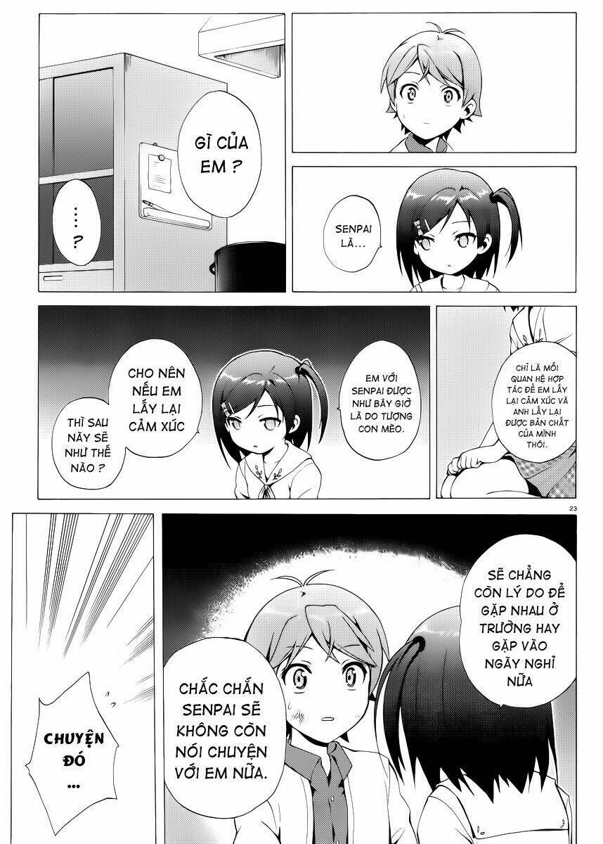 page_23.jpg