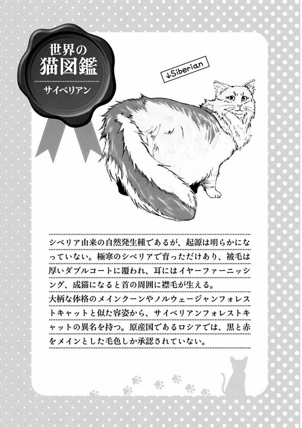 page_19.jpg