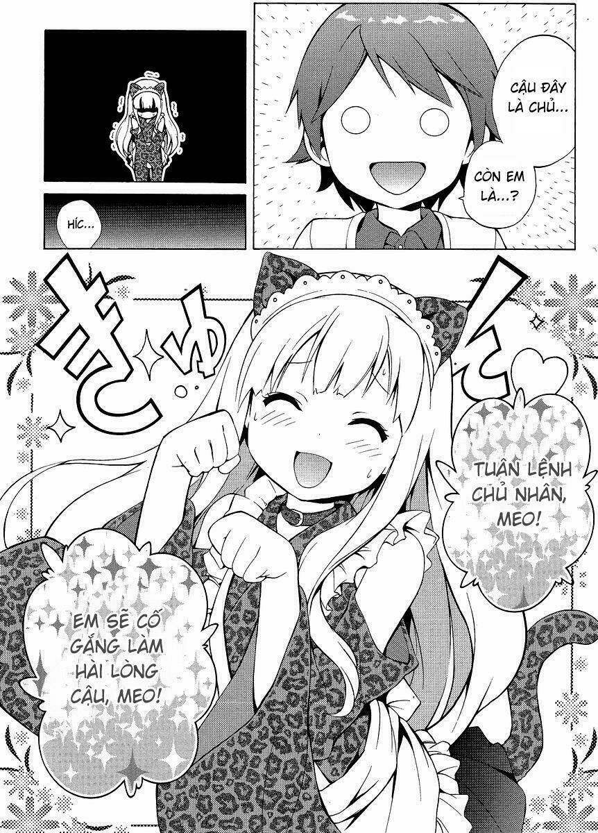 page_11.jpg