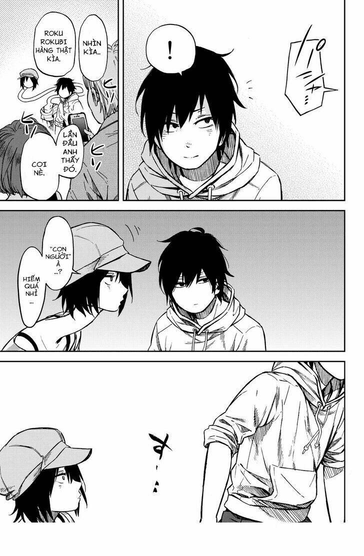 page_19.jpg