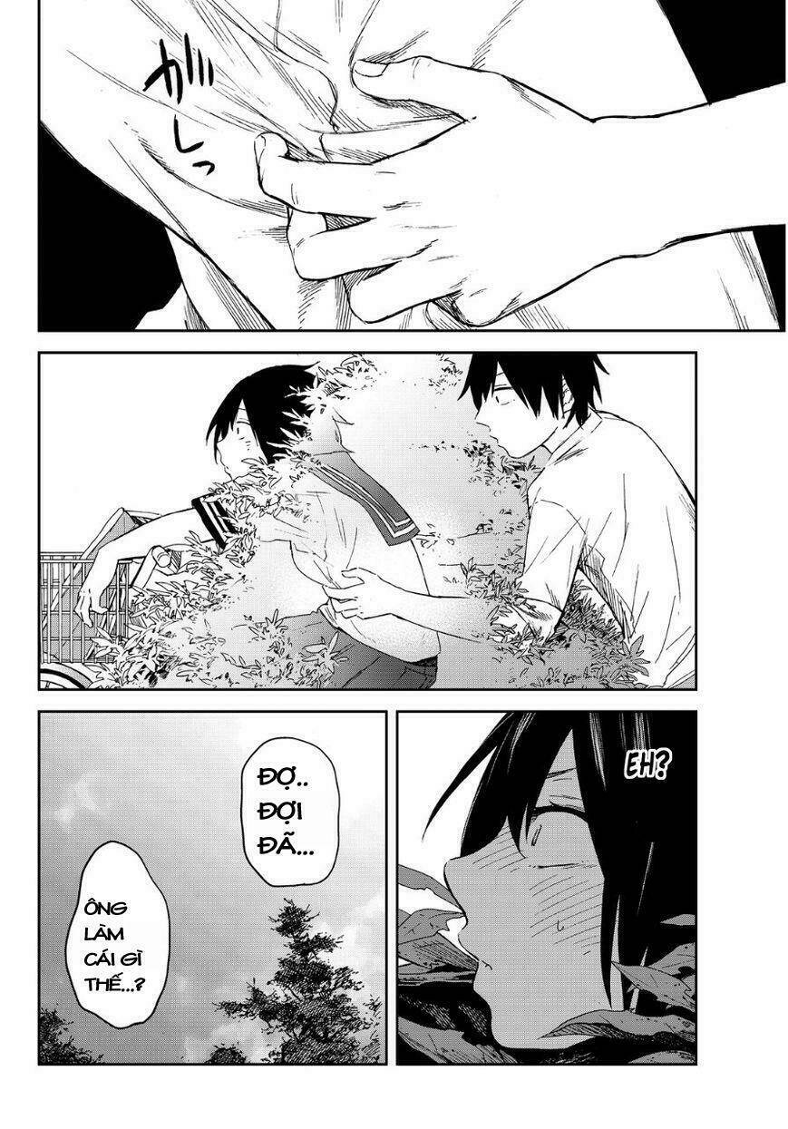 page_24.jpg
