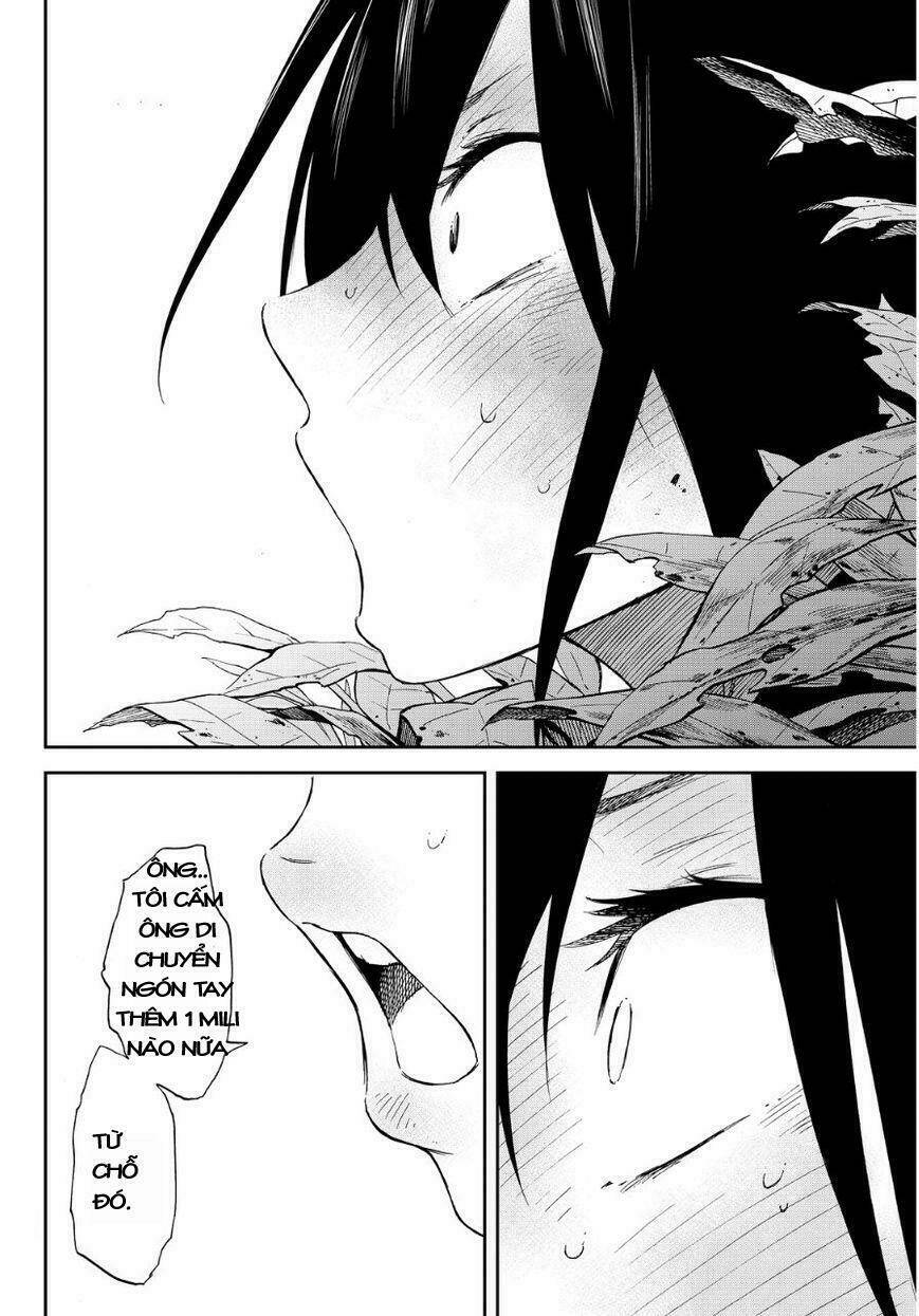 page_28.jpg