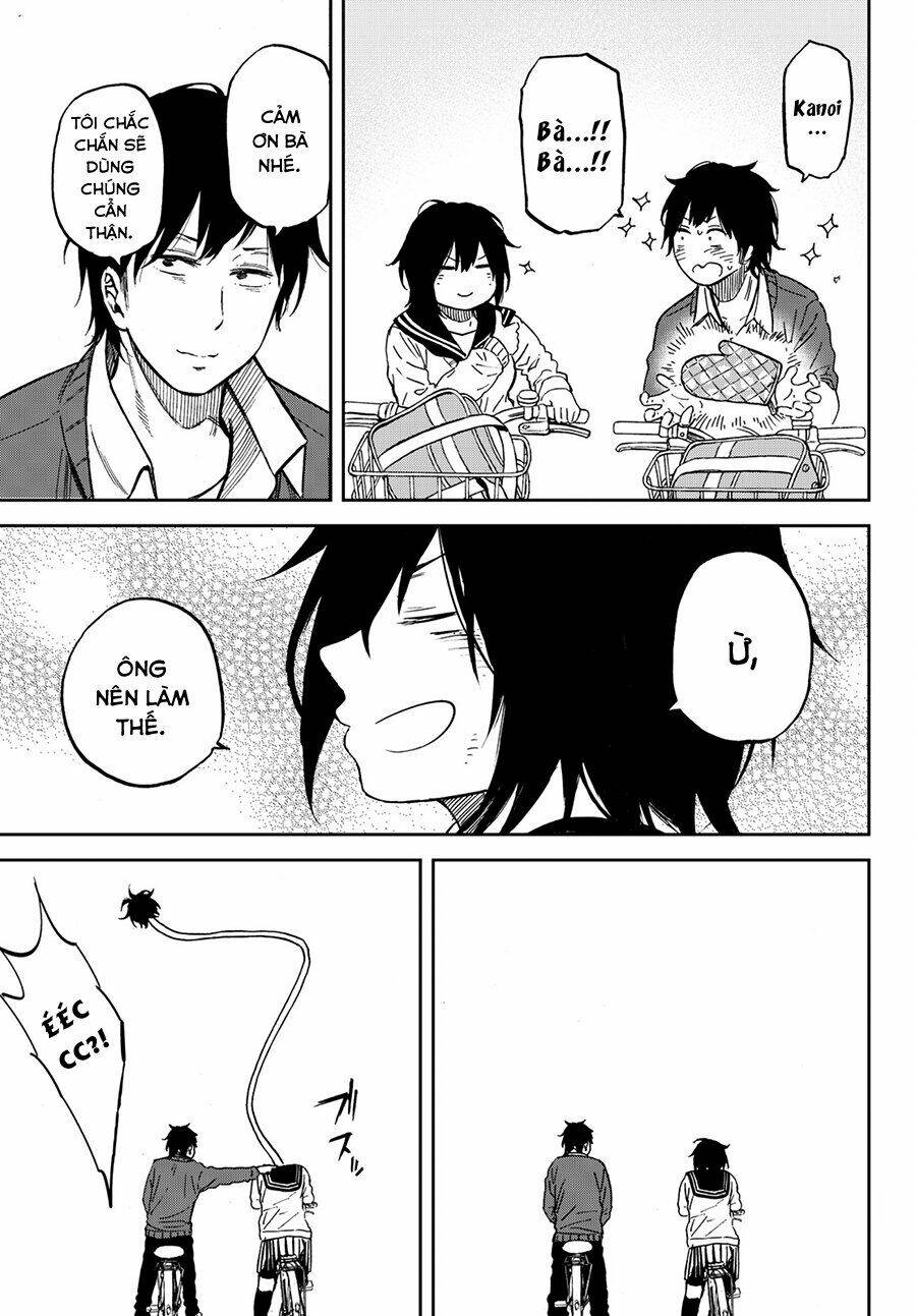 page_14.jpg