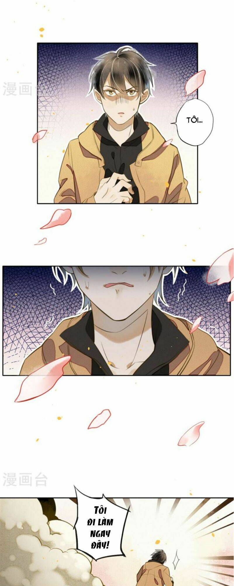 page_19.jpg