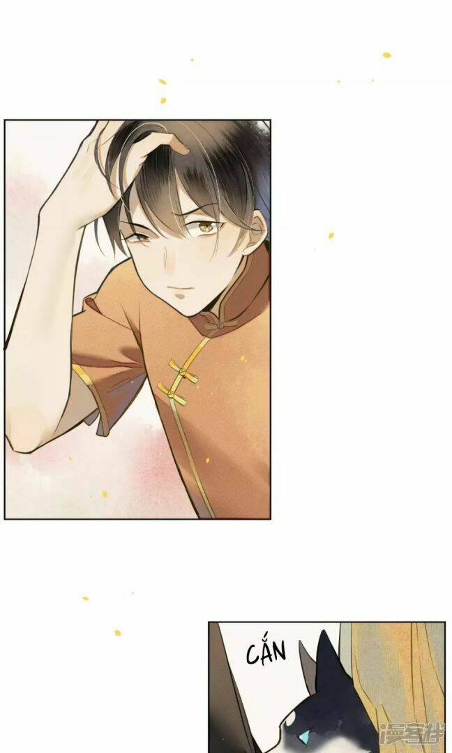 page_19.jpg
