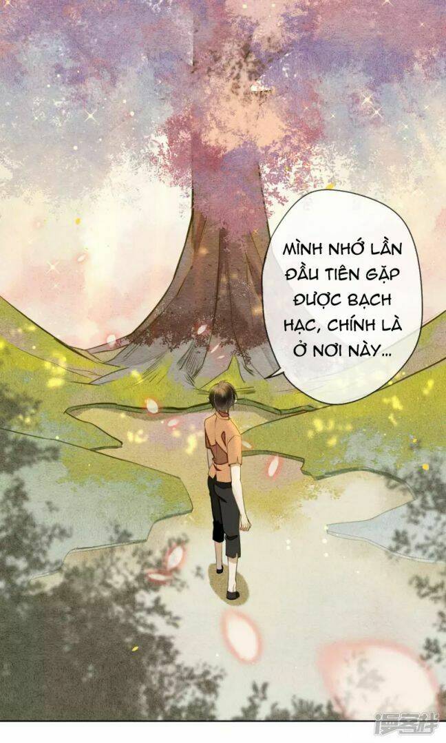 page_24.jpg