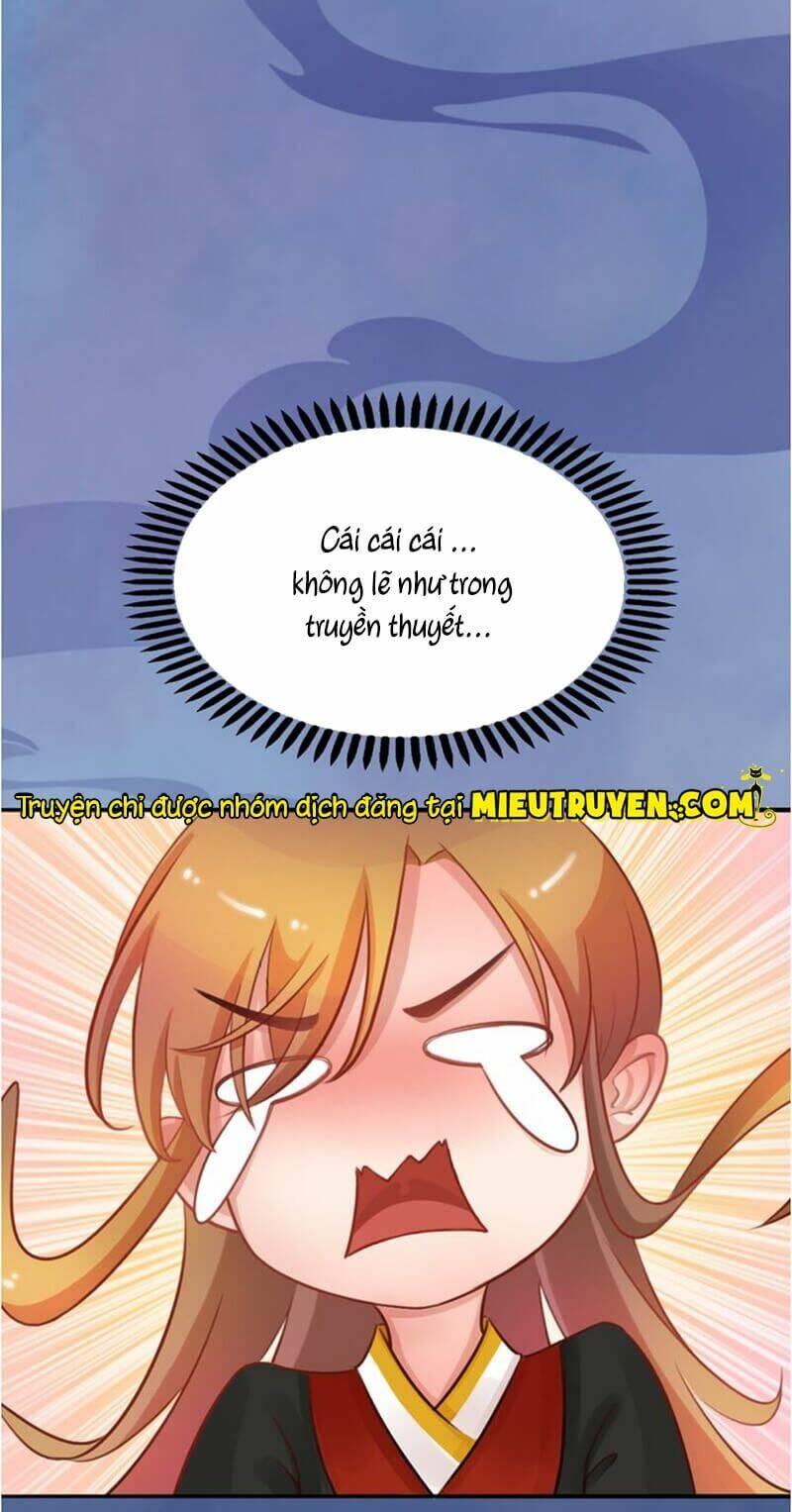 page_5.jpg
