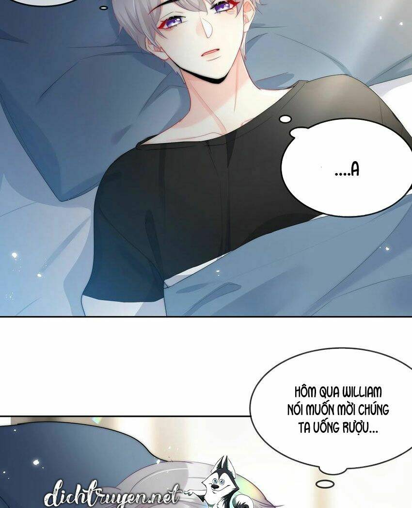 page_19.jpg