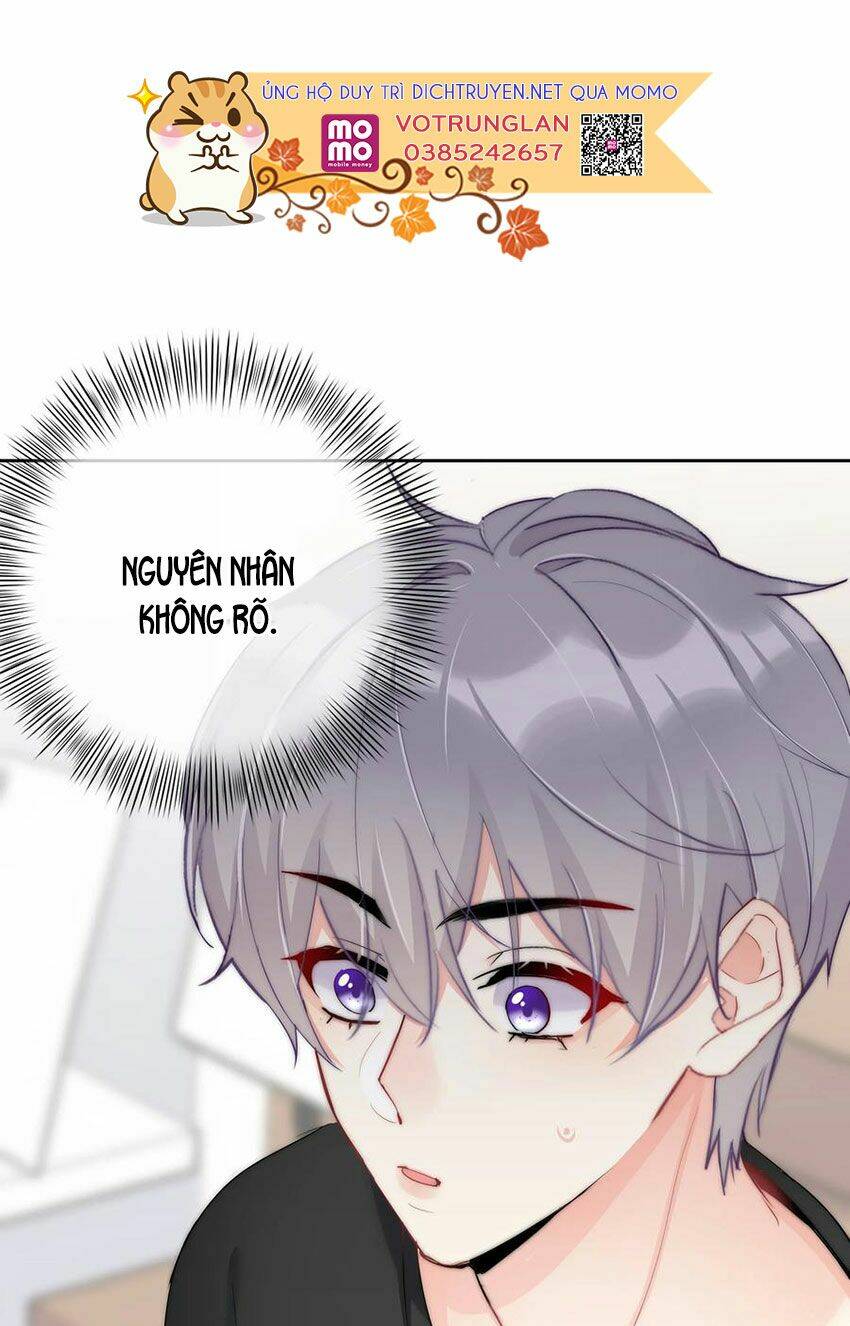 page_34.jpg