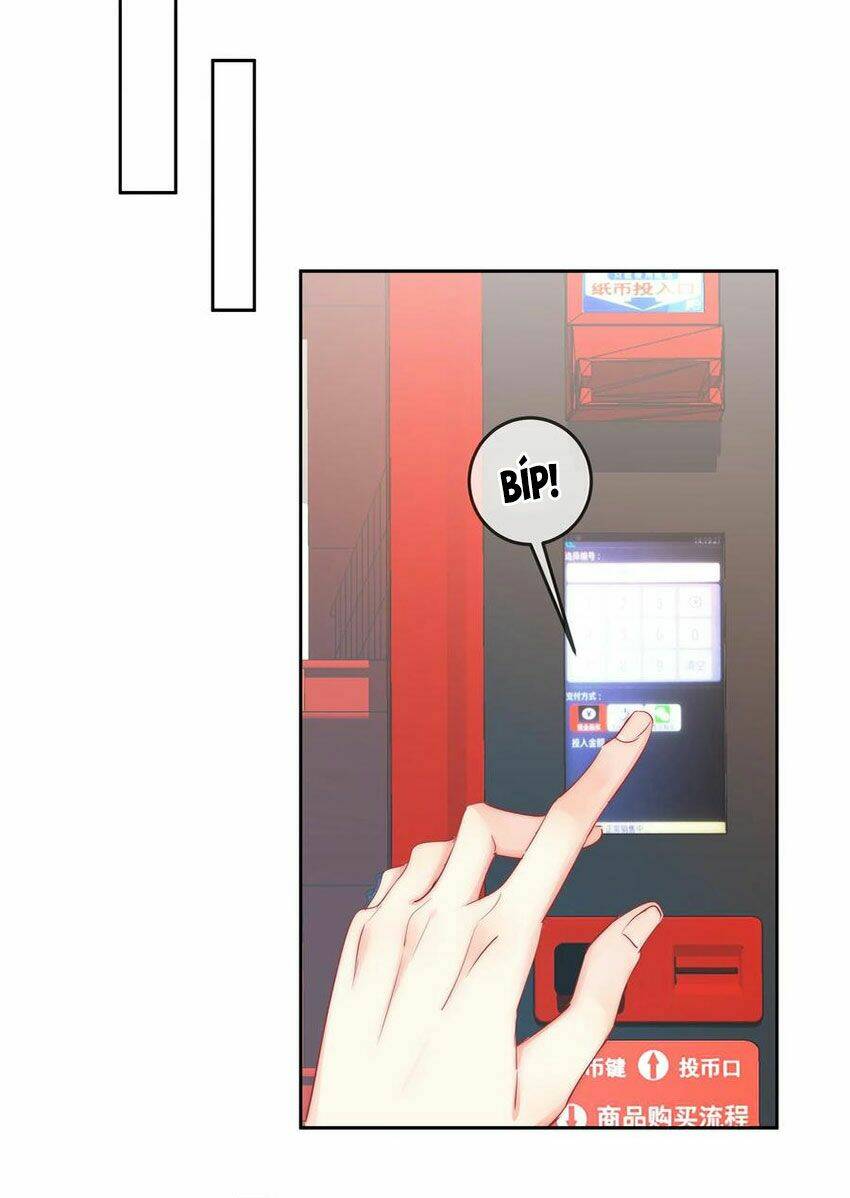 page_17.jpg