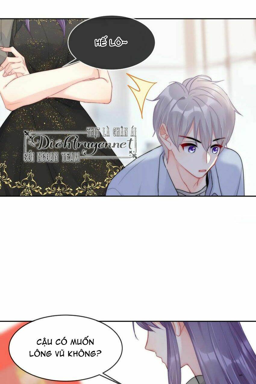 page_20.jpg