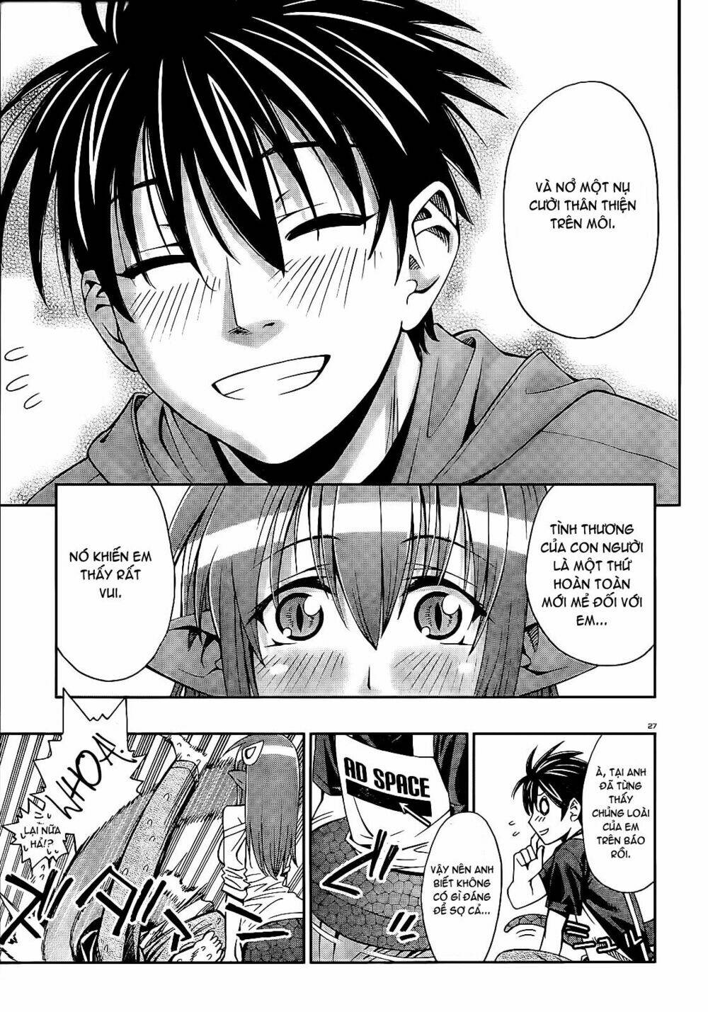 page_27.jpg