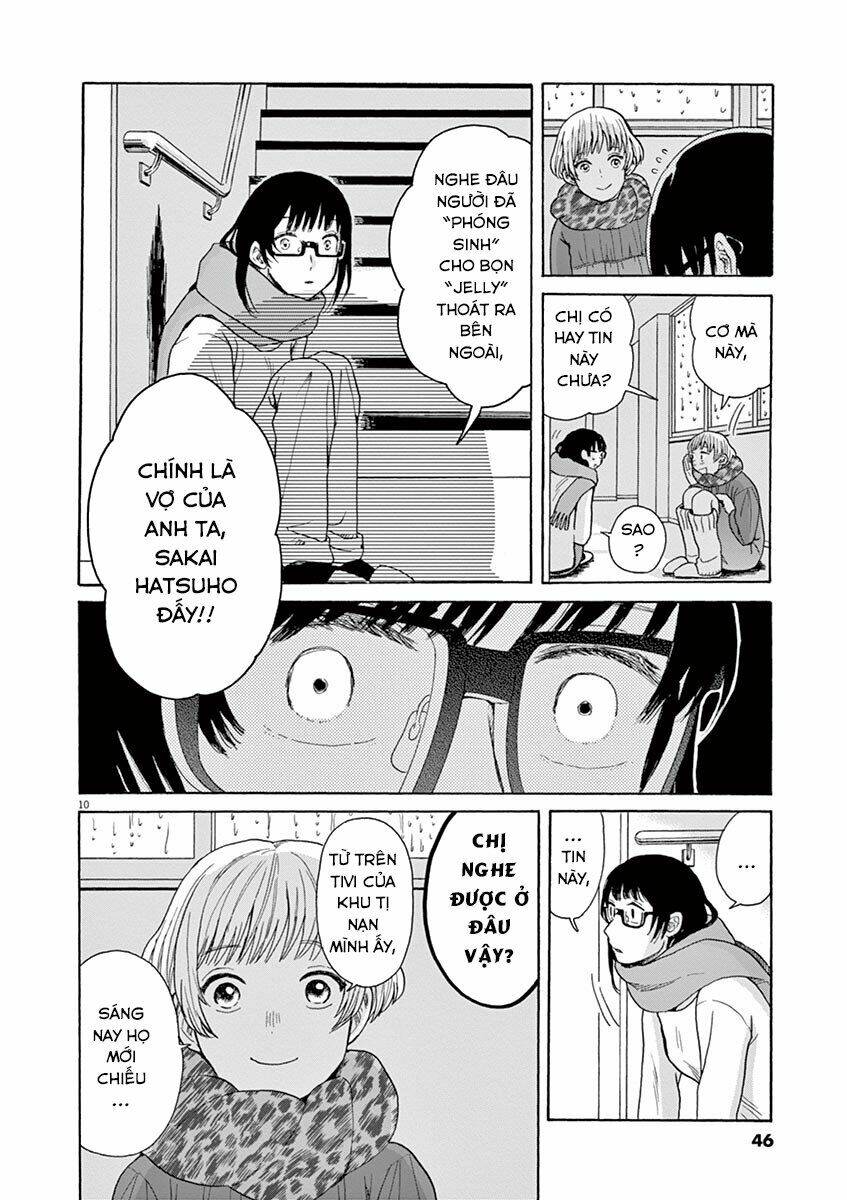 page_12.jpg