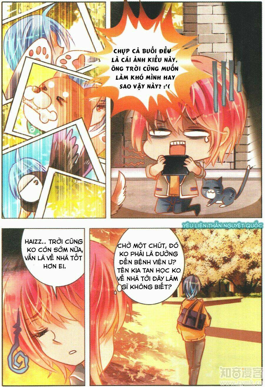 page_17.jpg