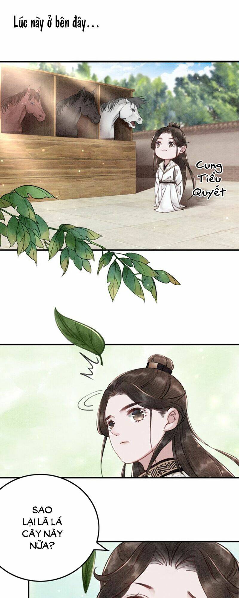 page_25.jpg