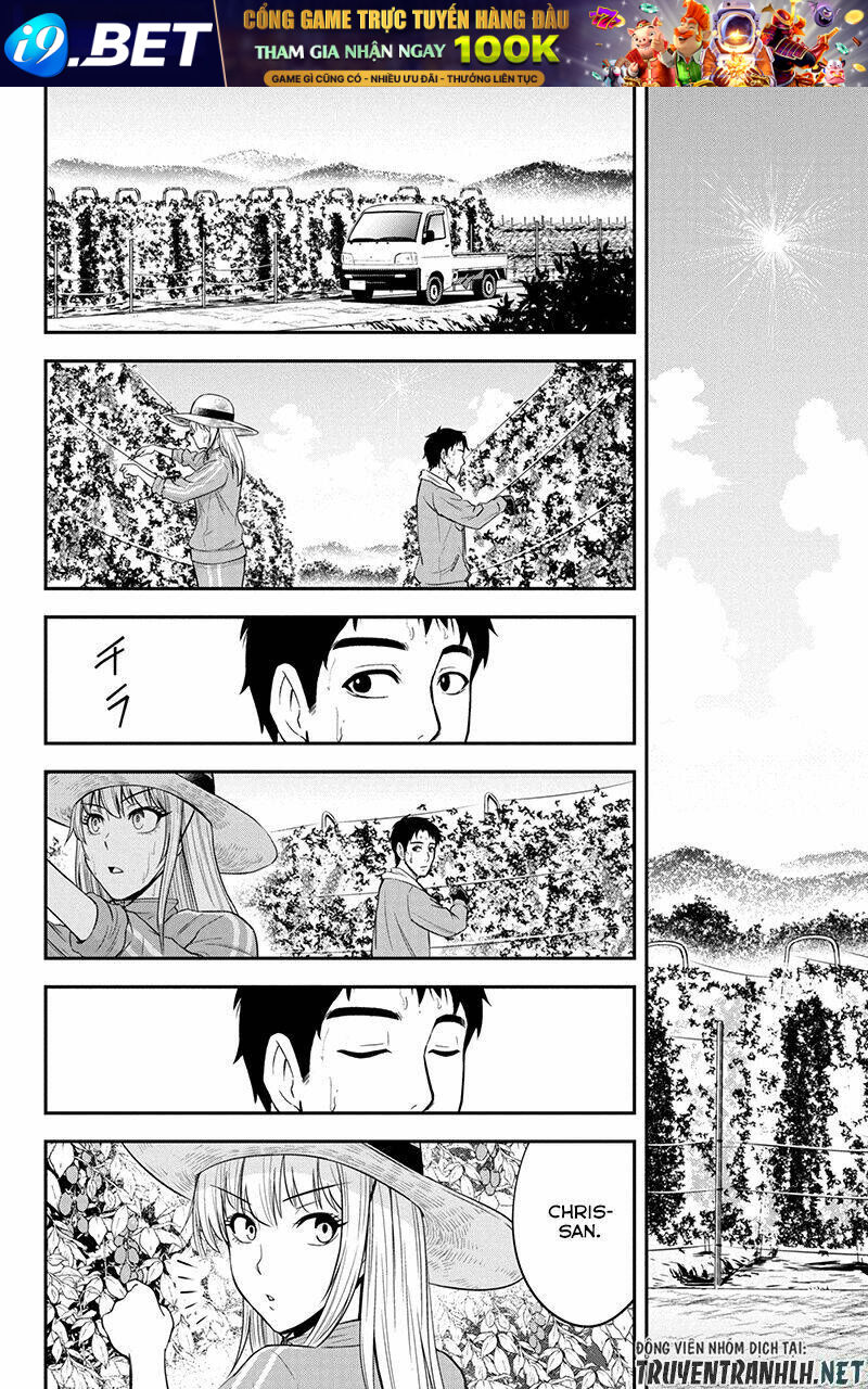 page_17.jpg