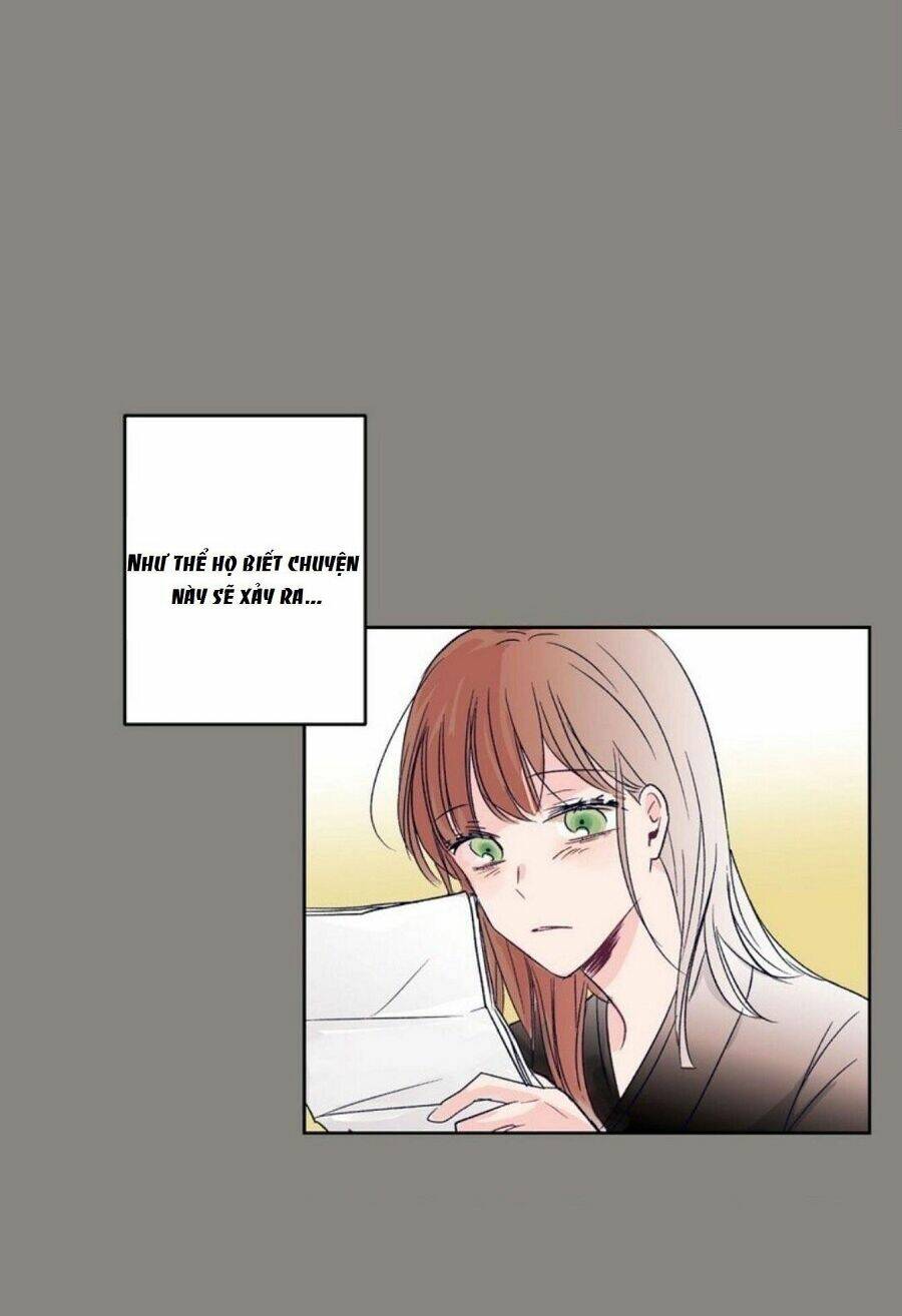 page_14.jpg