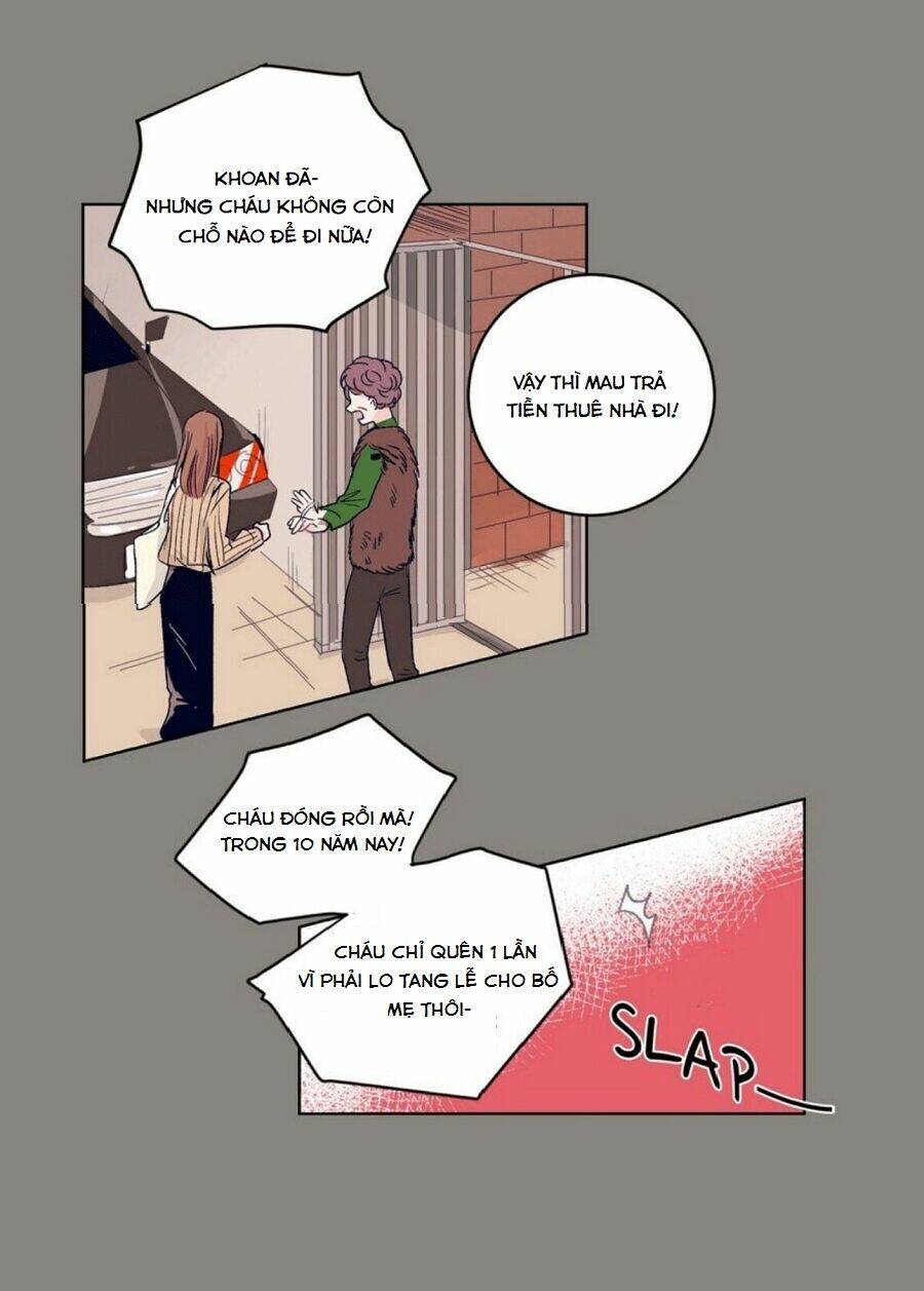 page_19.jpg