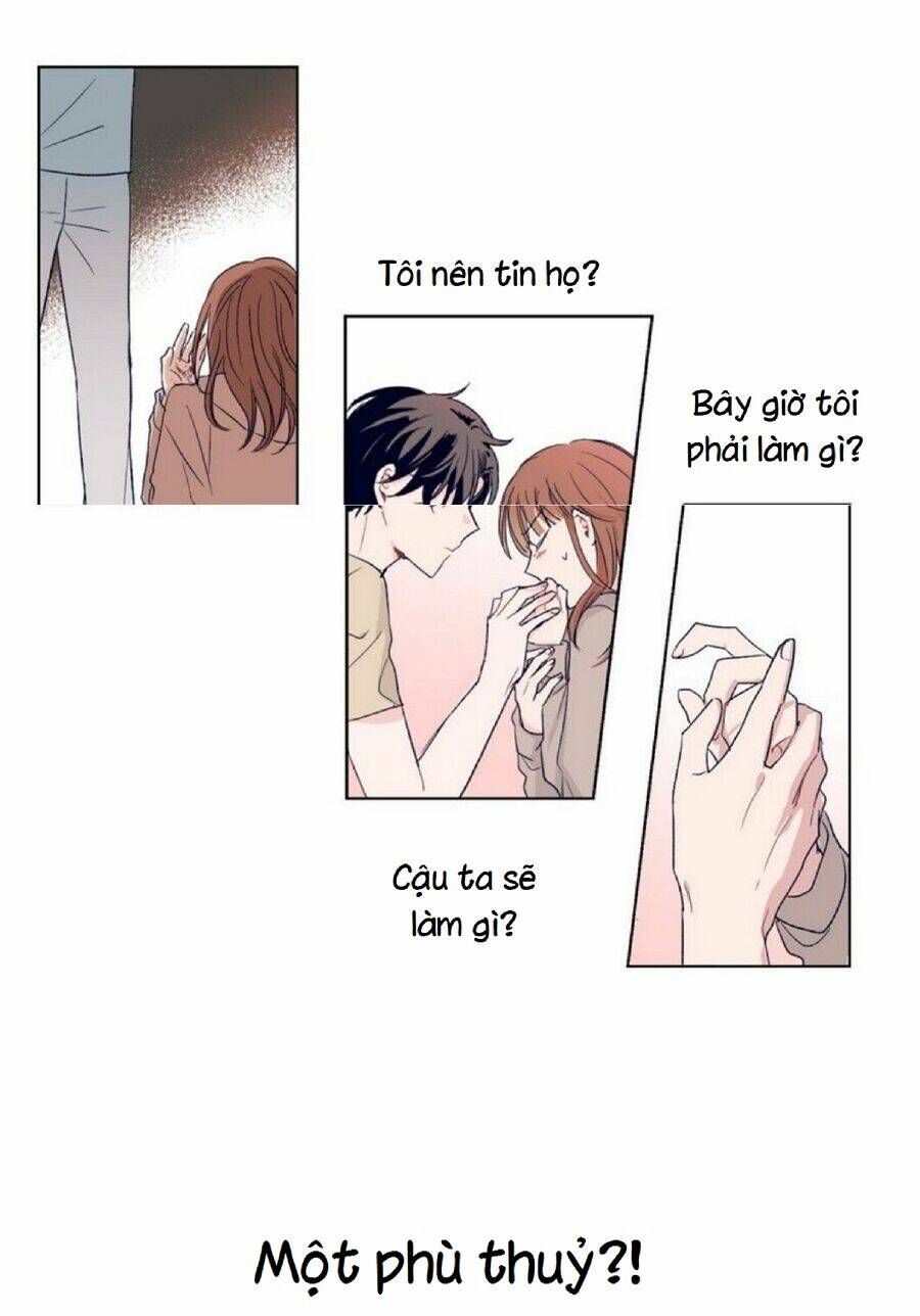 page_39.jpg