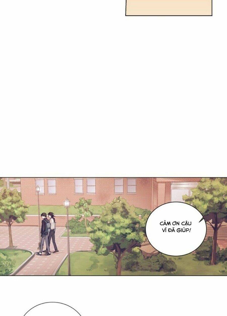 page_19.jpg