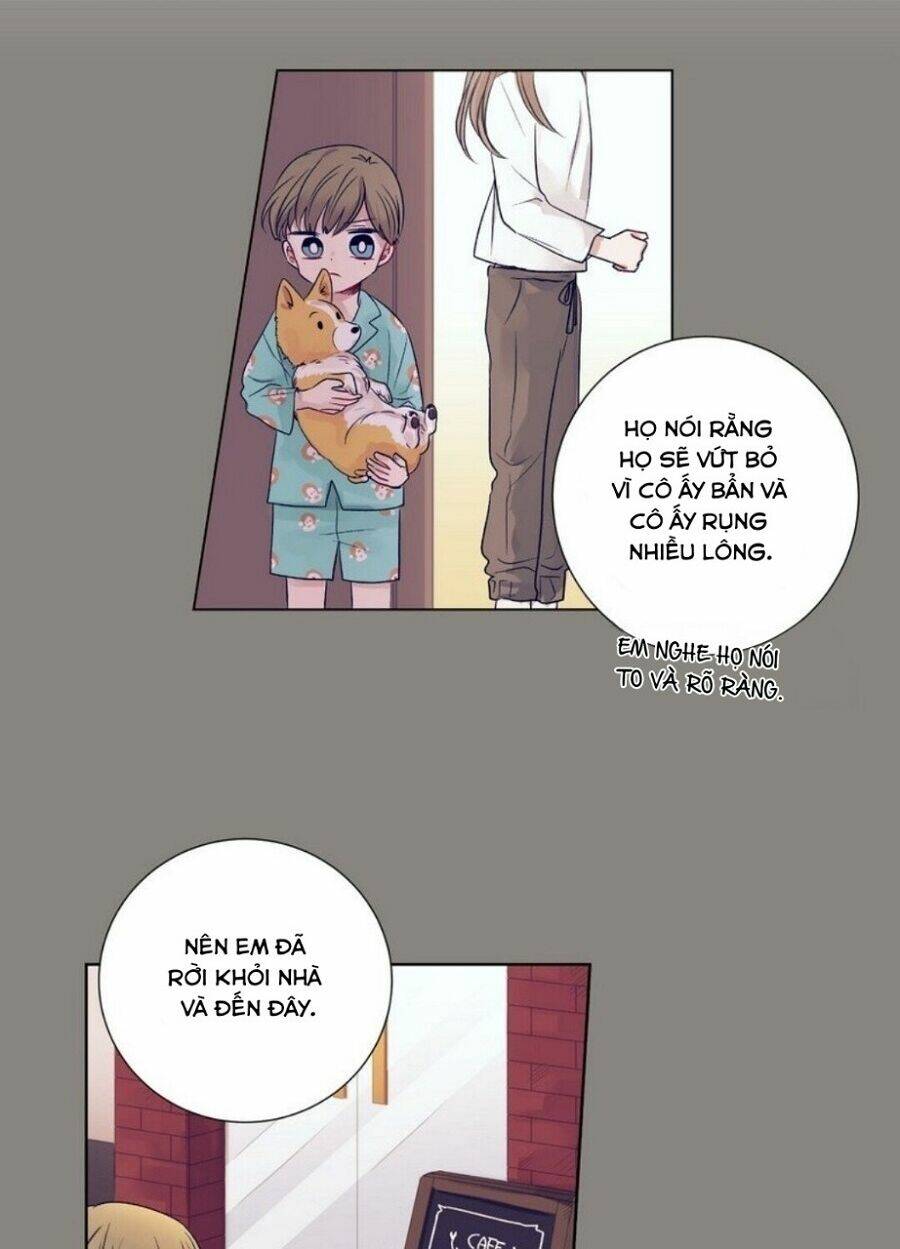page_41.jpg