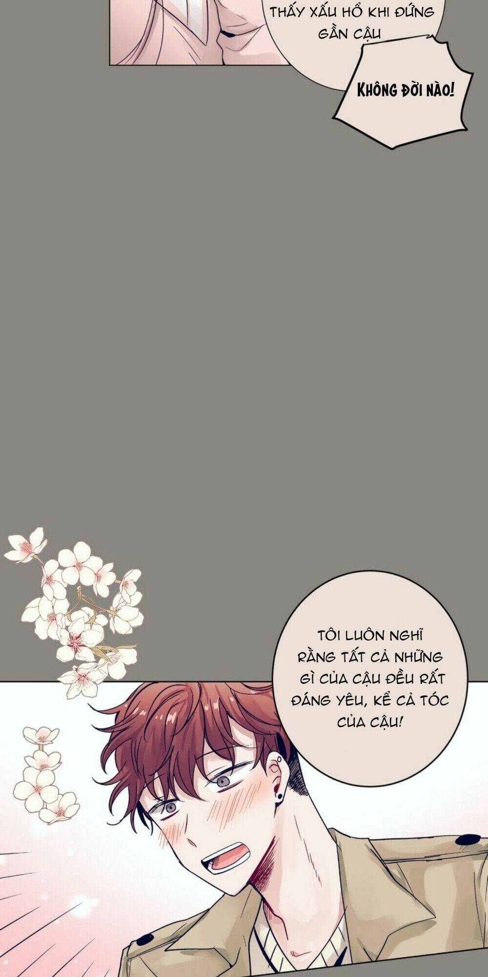 page_22.jpg