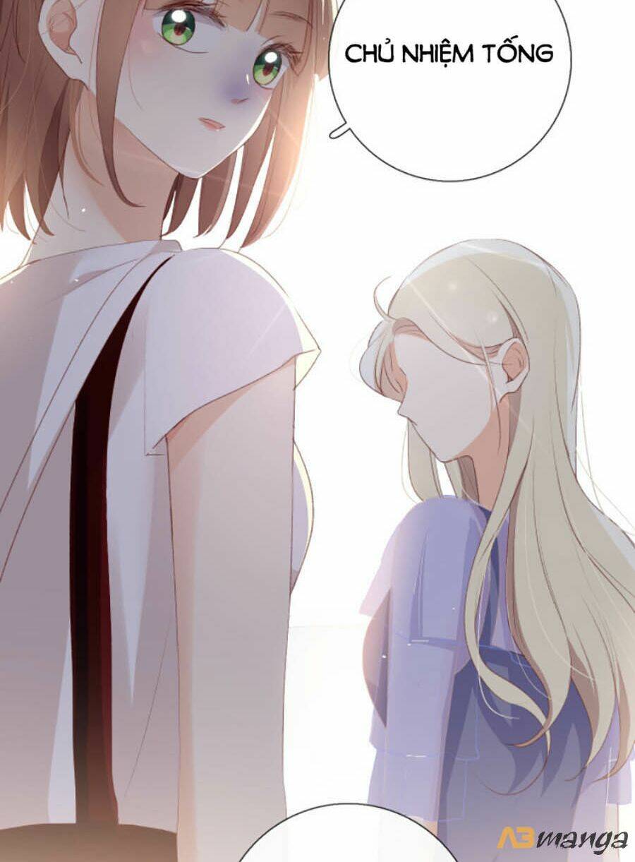 page_19.jpg